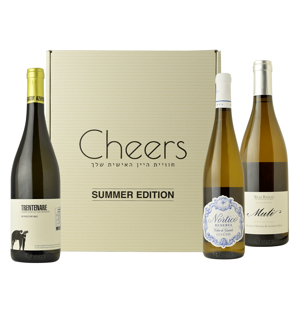 לבנים של מלח ושל ים