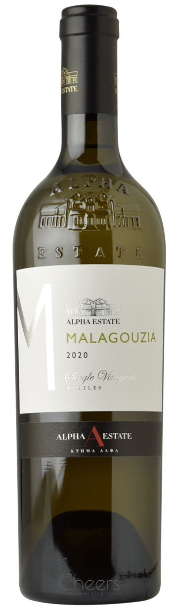 אלפא אסטייט מאלאגוזיה