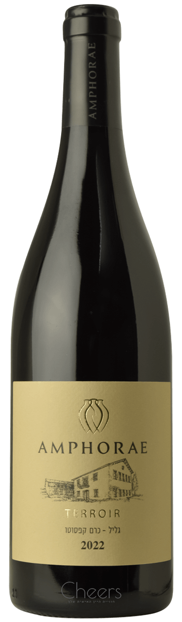 אמפורה טרואר גליל כרם קפסוטו