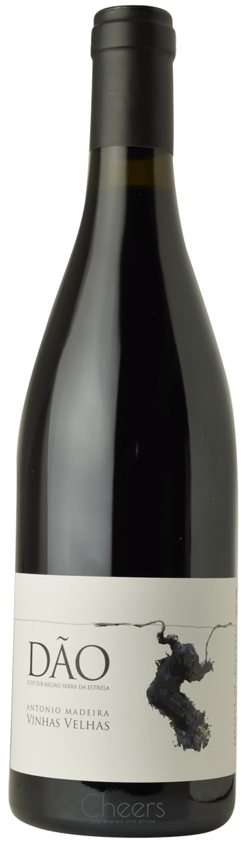 אנטוניו מדירה  ויניאש וליאש