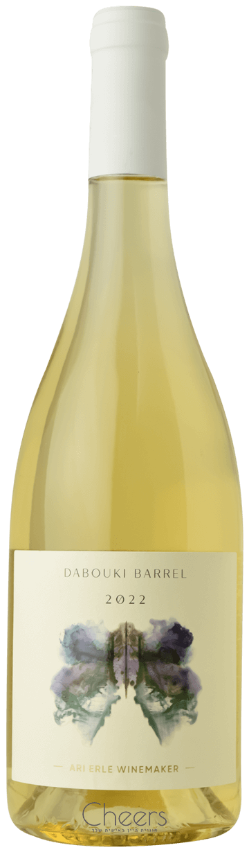 ארי ארל דבוקי חבית