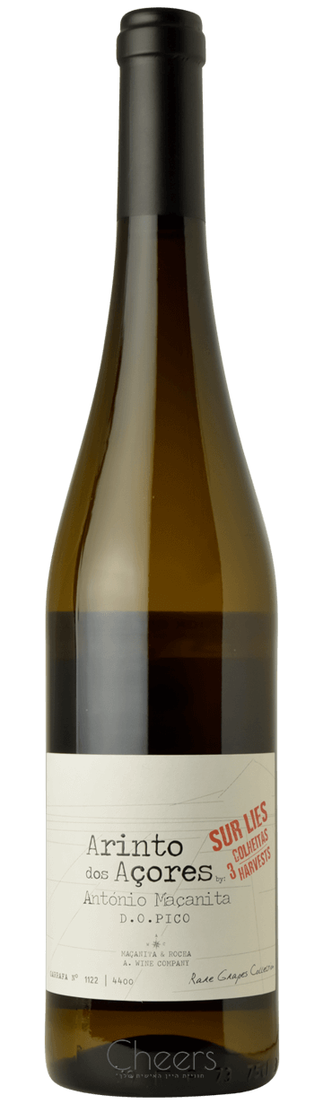 אזורש וויין קומפני ארינטו דוס אזורש סור לי