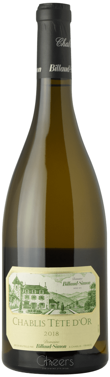 ביו סימון שבלי טט ד'אור