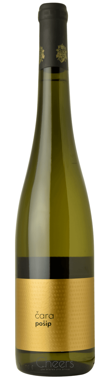 צ׳ארה פושיפ