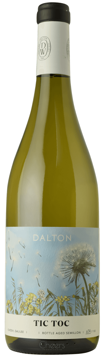 דלתון אסופה טיקטוק