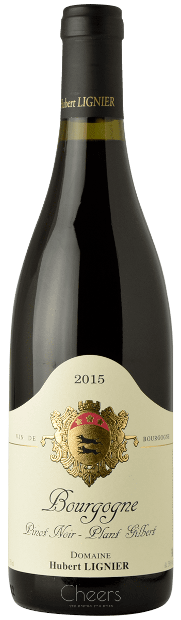 הובר לינייה בורגון אדום