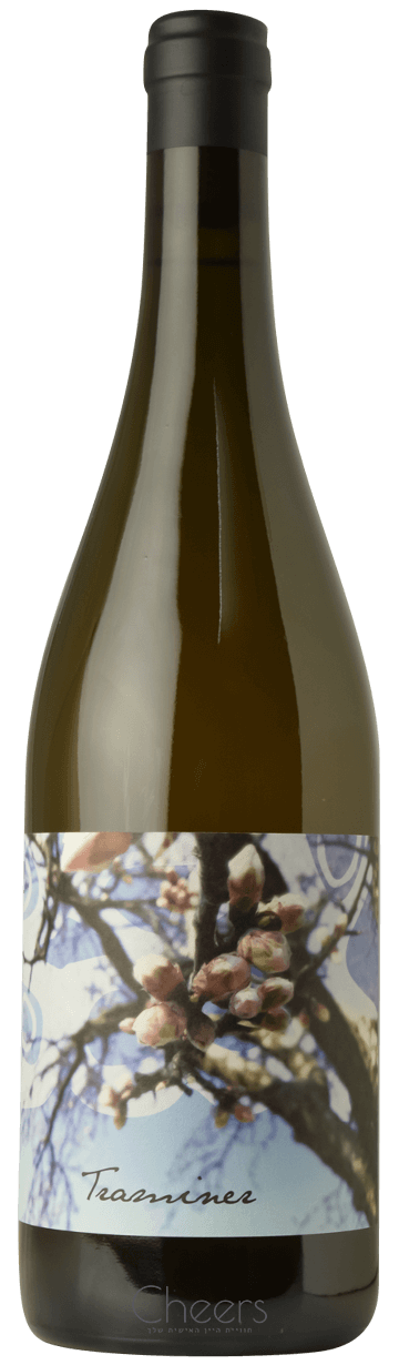 יודית בק טרמינר כתום