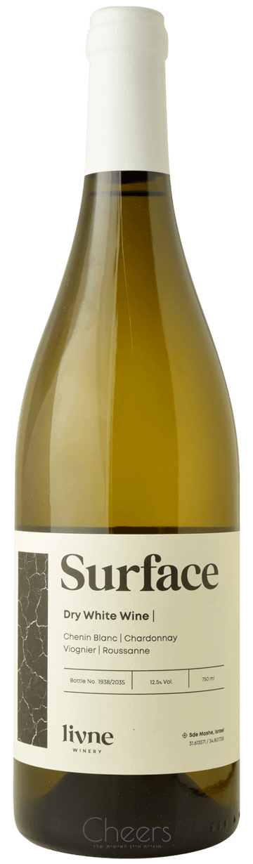 ליבנה סורפייס