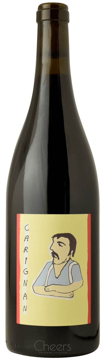 נעמה סורקין, הקואופ הצפוני לייצור יין קריניאן