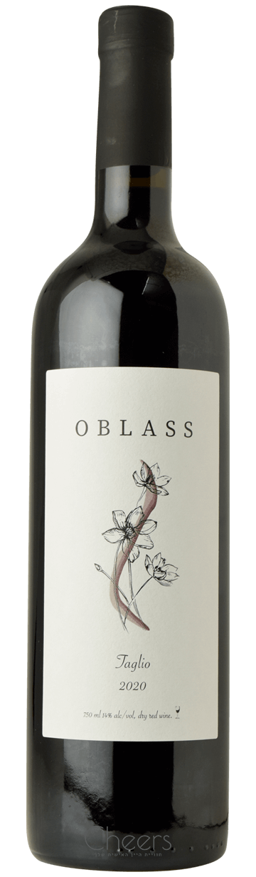 אובלס טאליו