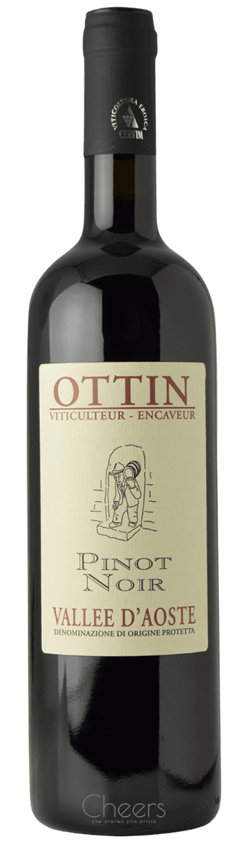 אוטין ואלה ד'אוסטה פינו נואר