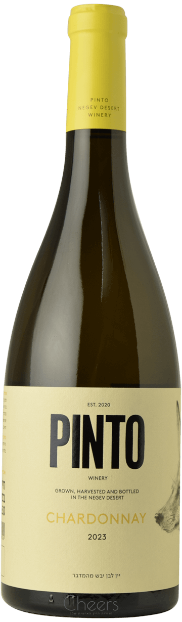 פינטו שרדונה