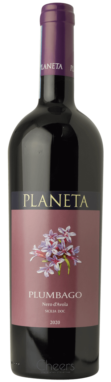 פלאנטה פלומבאגו נרו ד'אבולה