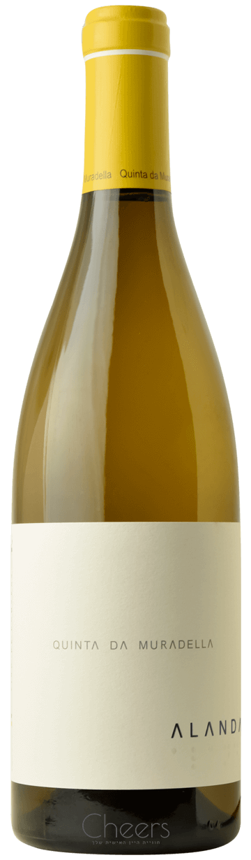 קינטה דה מוראדייה אלאנדה