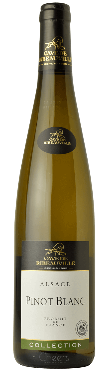 ריבובילה פינו בלאן קולקשן