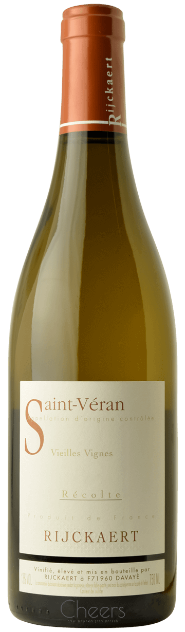 רייקארט סן וראן גפנים בוגרות