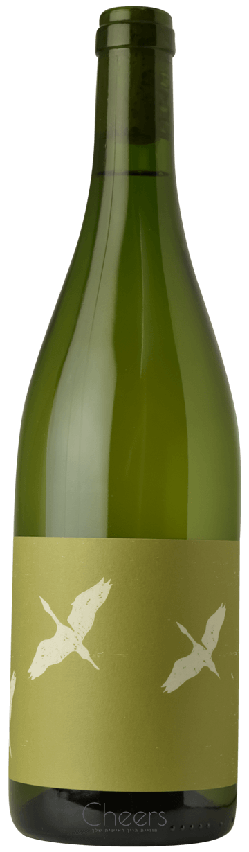 ראש חץ לבן - הקואופ הצפוני