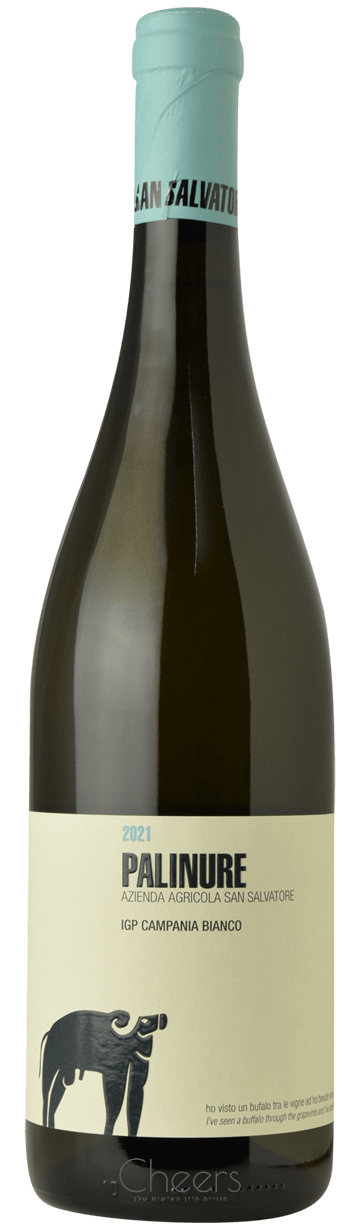 סן סלבטורה פאלינור