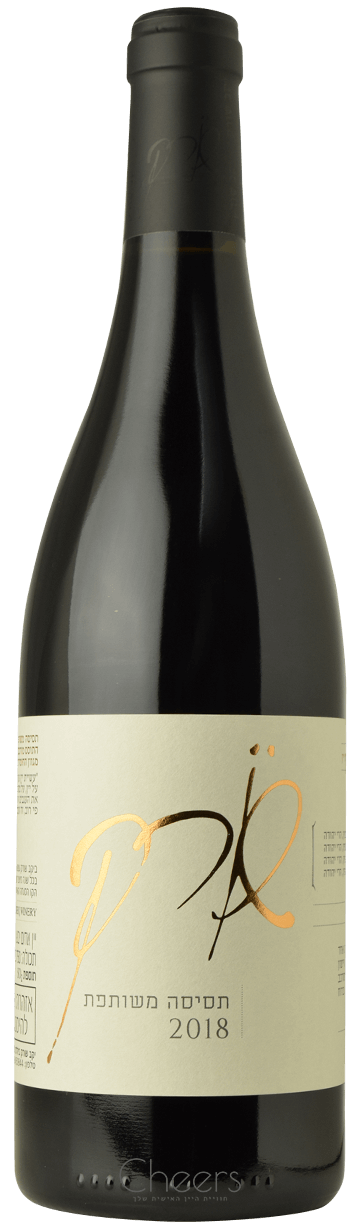 שורק תסיסה משותפת