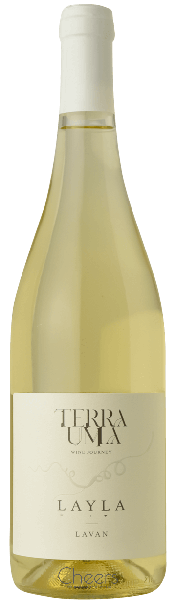 TERRA UMA לילה לבן