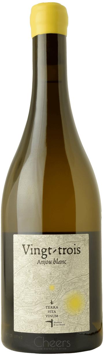 טרה ויטה וינום אנז'ו לבן עשרים ושלוש