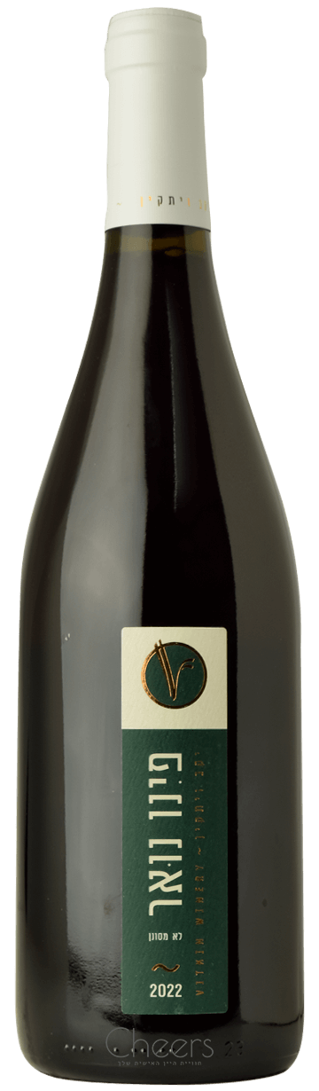 ויתקין פינו נואר