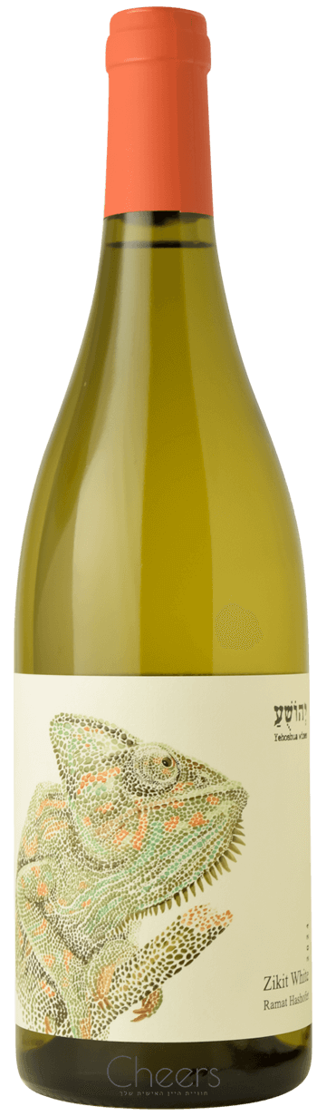 יְהוֹשֻׁעַ זיקית לבן