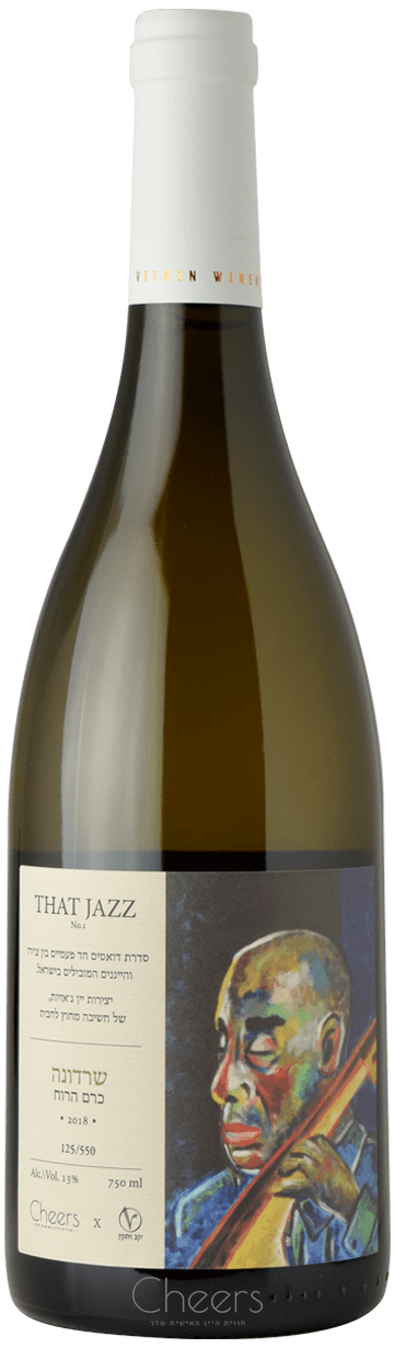 ויתקין הג'אז הזה מספר 3