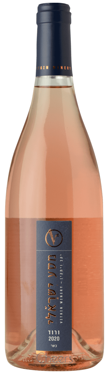 ויתקין מסע ישראלי ורוד