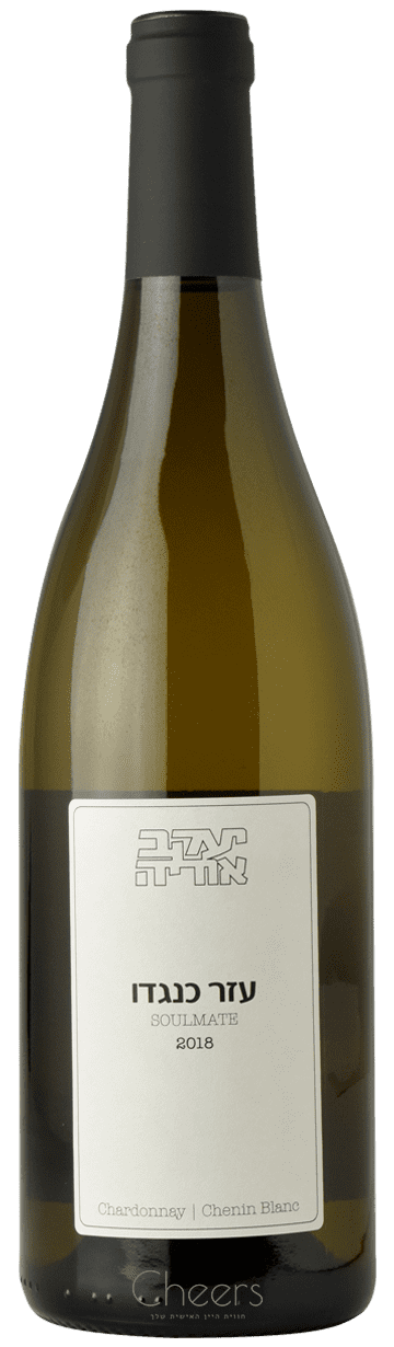 יעקב אוריה עזר כנגדו