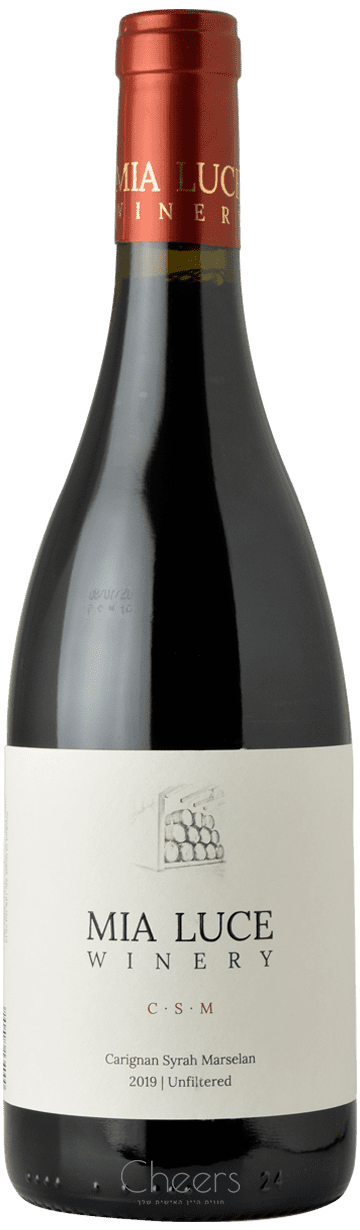 מיה לוצ'ה CSM