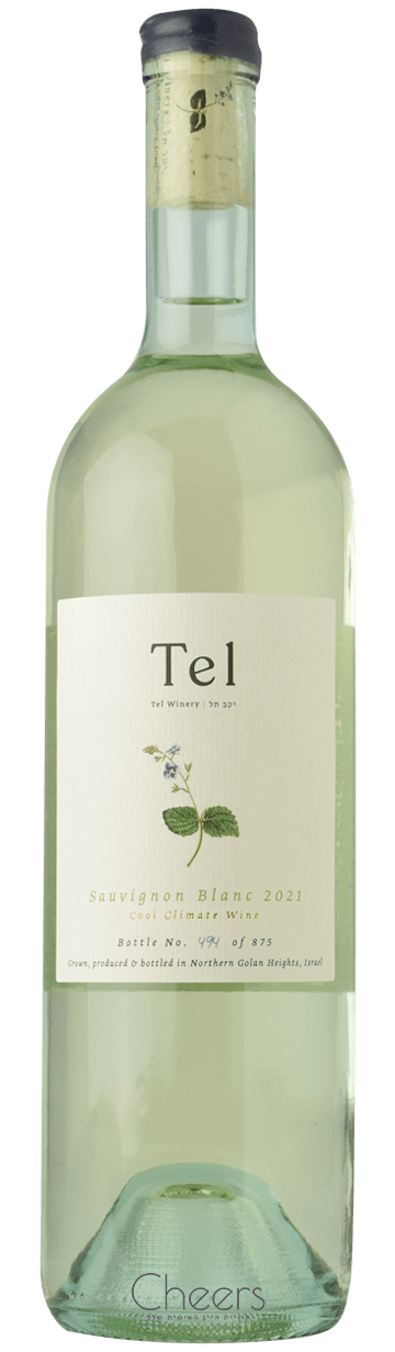 תל סוביניון בלאן